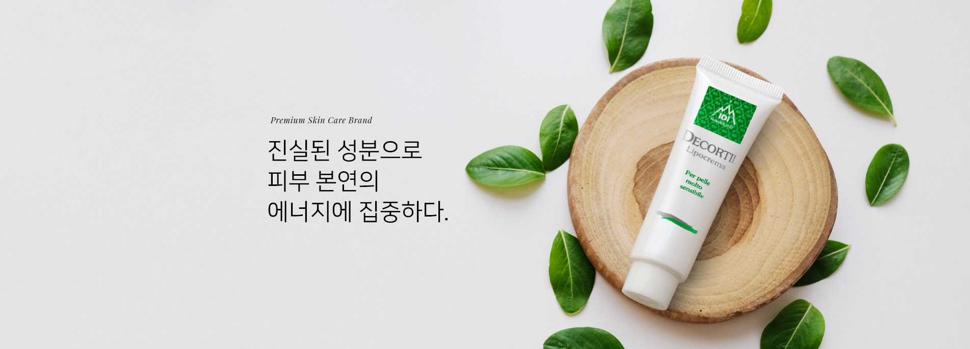 메인 비주얼 사진